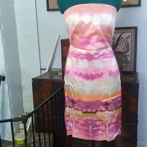 NWT BR Strapless Silk Dress